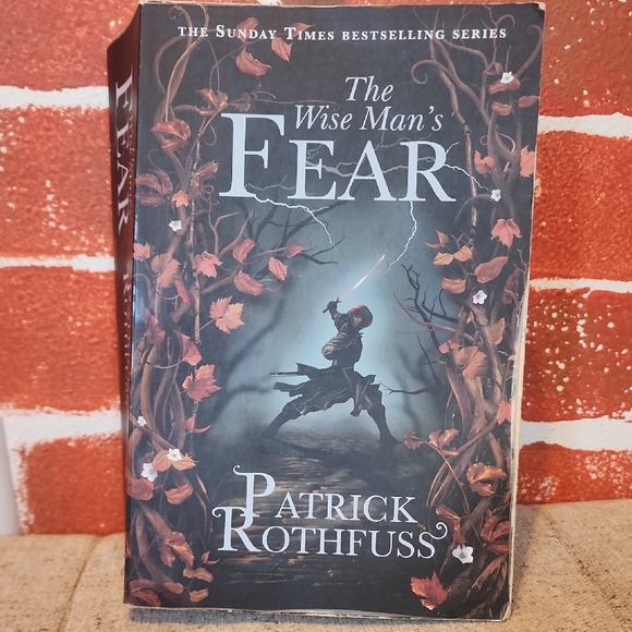 Orion Publishing Group Other - 🤓 The Wise Man's Fear + The Slow Regard Of Silent Things by Patrick Rothfuss 🤓